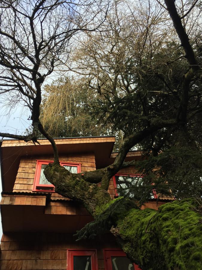 Almabosque Cabanas Puerto Varas Exterior photo